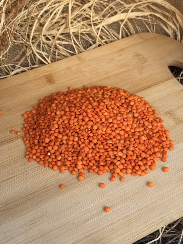 Atatohum Kırmızı Mercimek