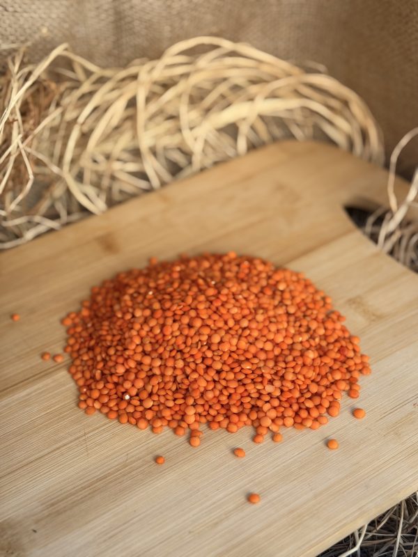 Atatohum Kırmızı Mercimek - Görsel 3