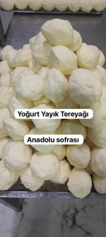 yoğurt yayık tereyağ