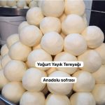 yoğurt yayık tereyağ