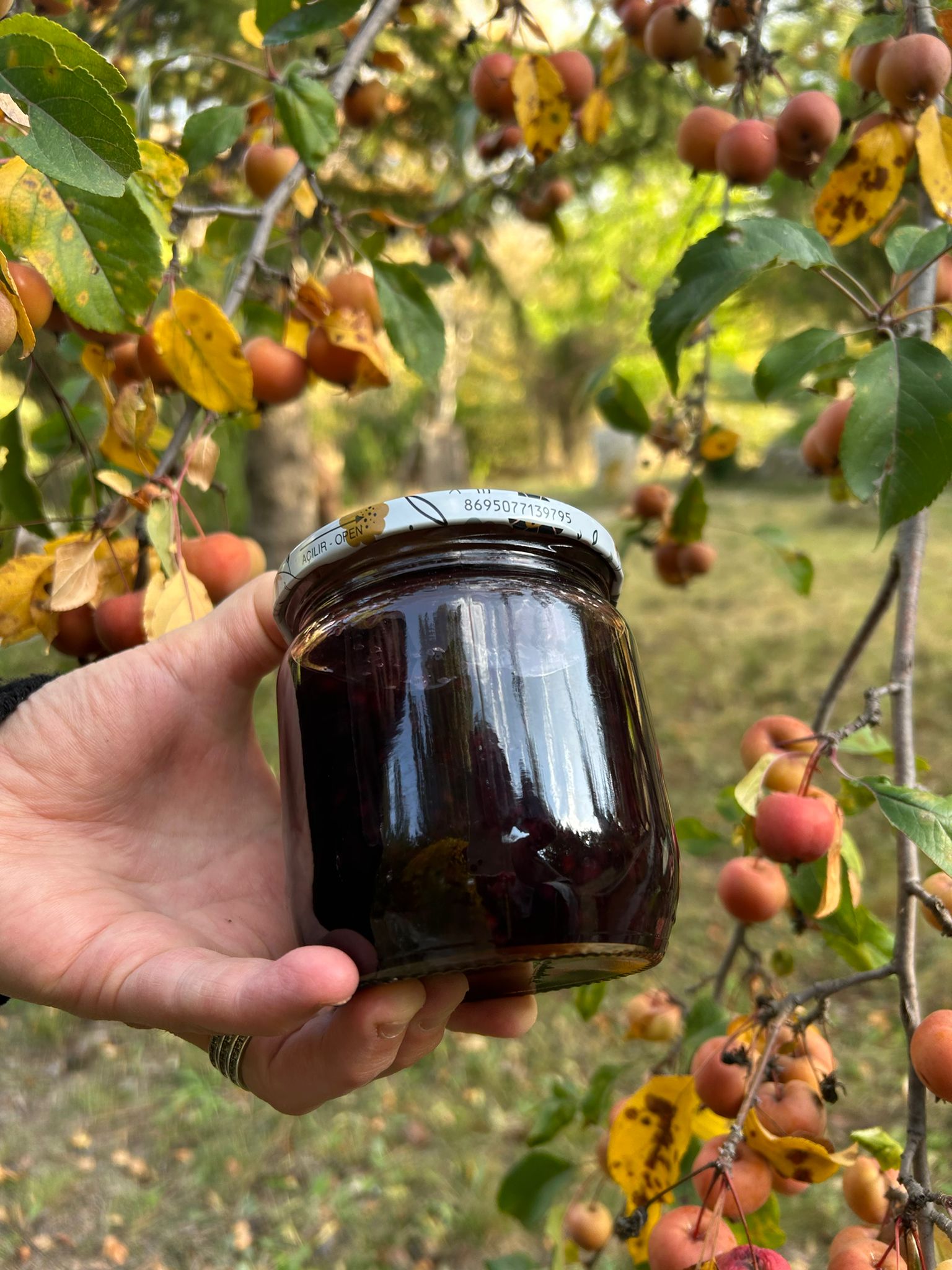 Böğürtlen Reçeli 450GR