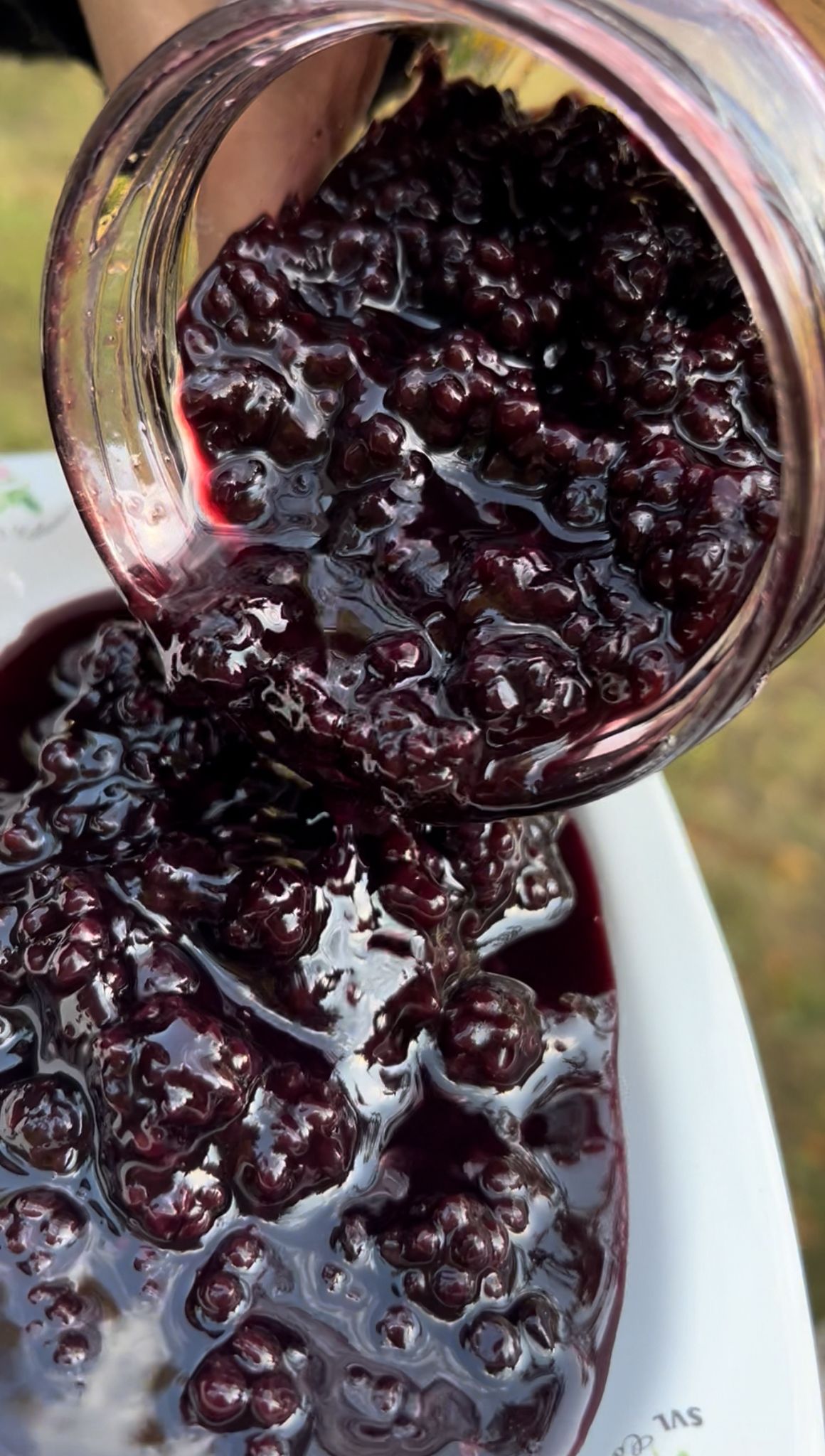 Böğürtlen Reçeli 450GR - Görsel 2