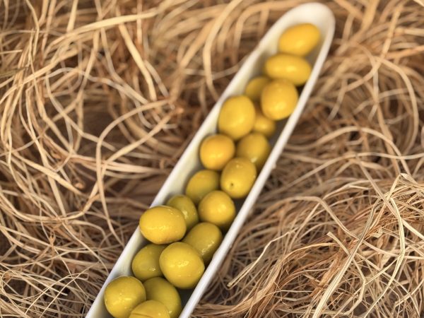Domat Çizik Yeşil Zeytin