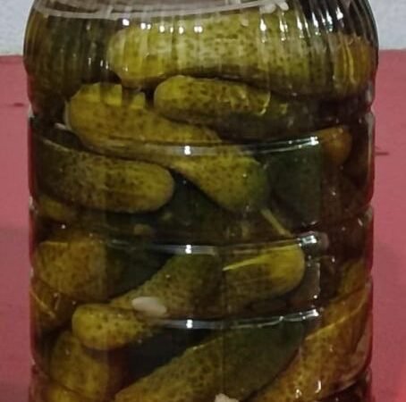 Kornişon Turşu - 3KG