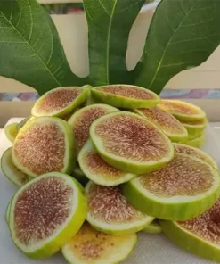 Cips İncir (100 gr)