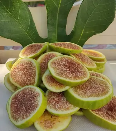 Cips İncir (1000 gr)