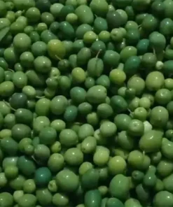 Halhalı Zeytin  (1 kg)