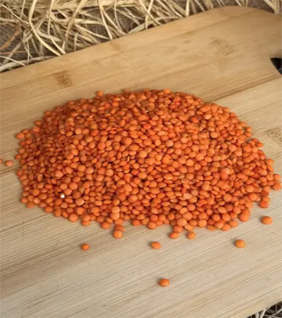 Atatohum Kırmızı Mercimek - 1000gr