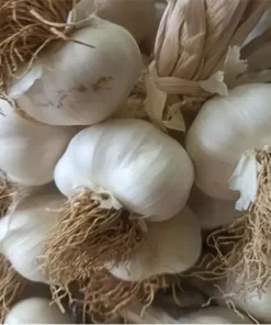 Taşköprü Sarımsak (Orta Boy) - 500gr